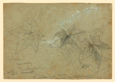 Studie av lövverk av William Trost Richards