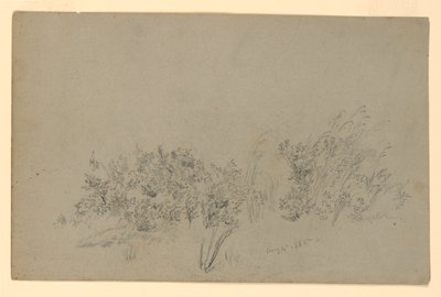 Studie av lövverk av William Trost Richards