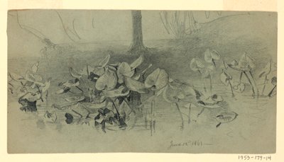 Studie av lövverk av William Trost Richards