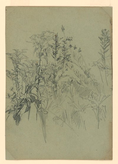 Studie av lövverk av William Trost Richards