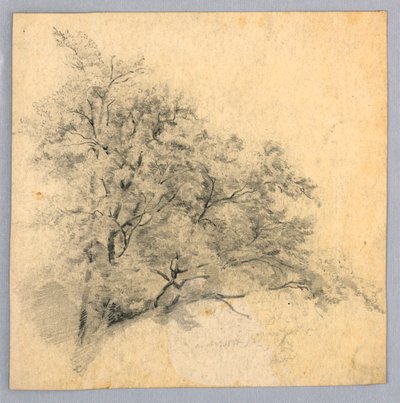 Studie av lövverk av William Trost Richards