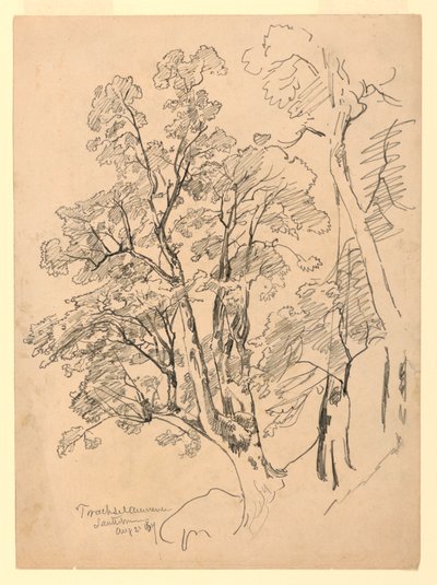 Studie av lövverk, Trachselwald, Bern, Schweiz av William Trost Richards