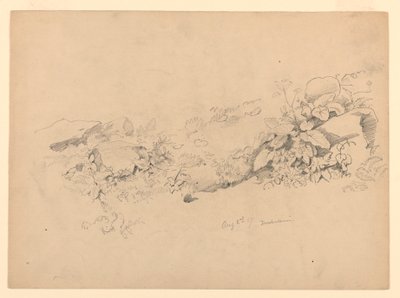 Studie av lövverk, Trachselwald, Bern, Schweiz av William Trost Richards