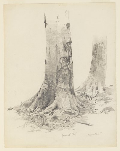 Trädstammar, Darmstadt av William Trost Richards