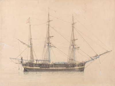 Valfångaren "Truelove" från Hull av William Ward