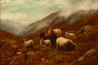 Highland Sheep On a Hillside (olja på duk) av William Watson