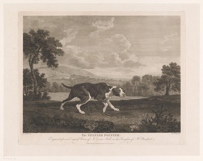 Spansk pekare i landskap Den spanska pekaren (titel på objekt) av William Woollett