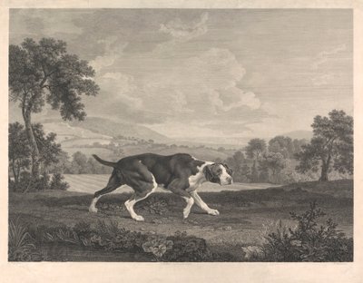 Den spanska pekaren av William Woollett
