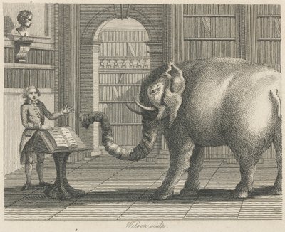 Elefanten och bokhandlaren av Wilson