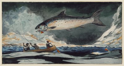 En fin pool, Saguenayfloden av Winslow Homer