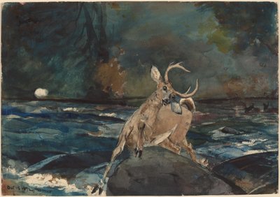 Ett bra skott, Adirondacks av Winslow Homer