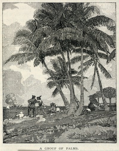 En grupp palmer, från The Century Magazine, februari 1887 av Winslow Homer