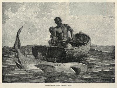 En gådfarihandlare, en Nassau Gateway, Hajfiske - Nassau Bar, från The Century Magazine, februari 1887 av Winslow Homer