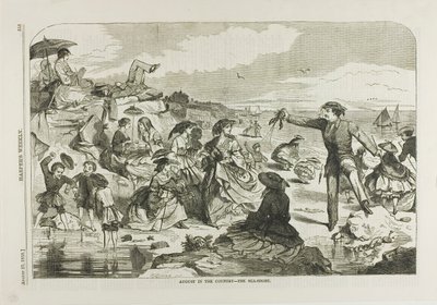 Augusti på landet - kusten av Winslow Homer