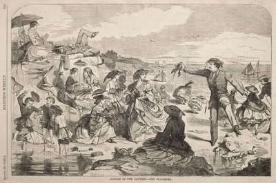 Augusti på landet - kusten av Winslow Homer