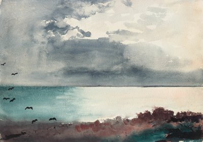 Kraftig storm, Maines kust av Winslow Homer