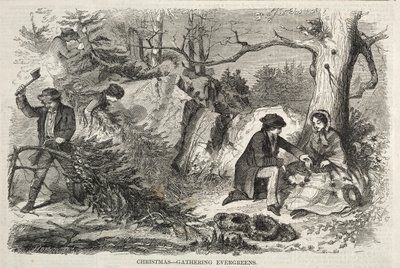 Jul – Samla vintergröna växter av Winslow Homer