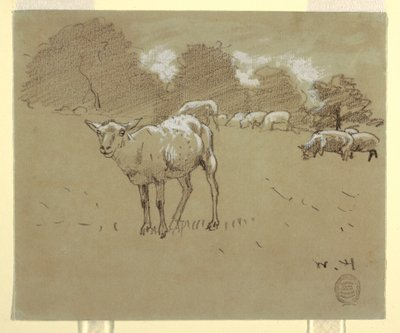 Teckning, Får betande på en åker, ca 1875-78 av Winslow Homer