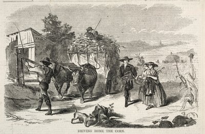 Kör hem majsen av Winslow Homer