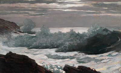 Tidig morgon efter en storm på havet av Winslow Homer