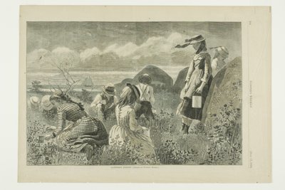 Samla bär av Winslow Homer