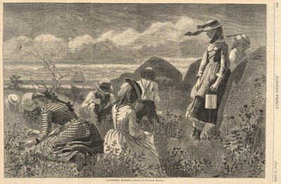 Gathering Berries, från Harper av Winslow Homer