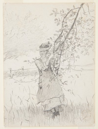 Flicka som håller en gren av ett äppelträd av Winslow Homer