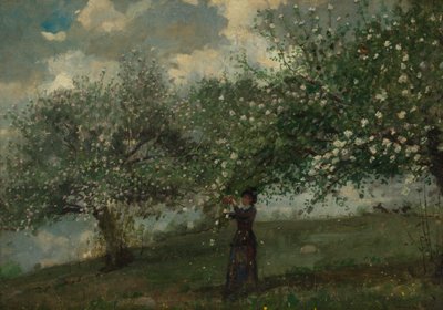 Flicka som plockar äppleblommor av Winslow Homer