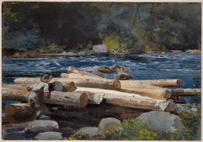 Hudsonfloden av Winslow Homer