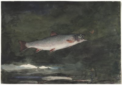 Den hoppande öringen av Winslow Homer