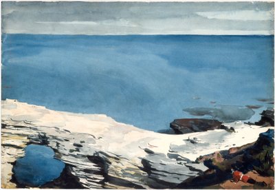  av Winslow Homer