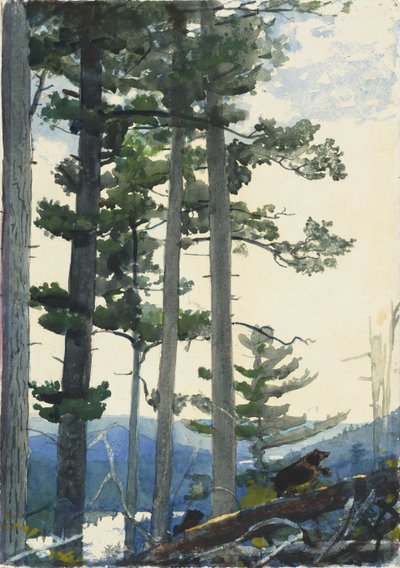 Gamla nybyggare av Winslow Homer