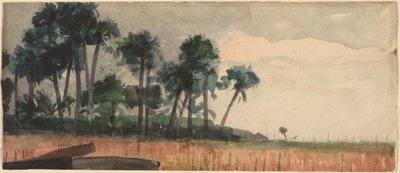 Palmer, röda, 1890. av Winslow Homer