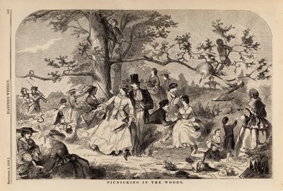Picknick i skogen, från Harper