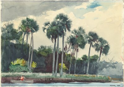 Röd skjorta, Homosassa, Florida av Winslow Homer