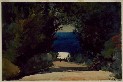 Väg i Bermuda, ca 1899-1901 (akvarell på papper) av Winslow Homer