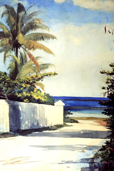 Väg i Nassau, 1898-99 av Winslow Homer