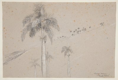 Royal Palm, Kuba av Winslow Homer