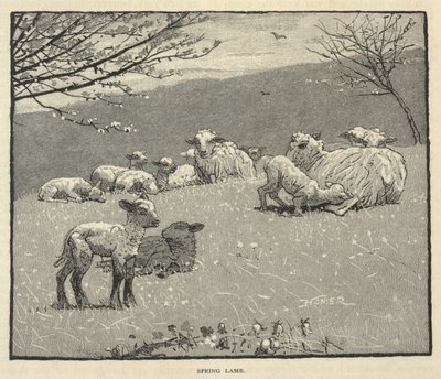 Spring Lamb, från Scribner