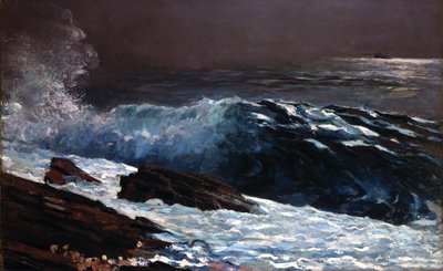 Solljus på kusten av Winslow Homer