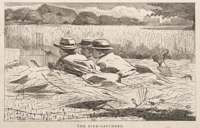 Fågelfångarna av Winslow Homer