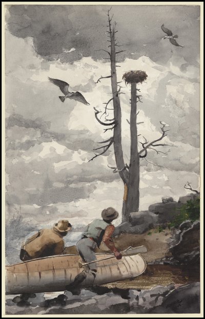 Örnnästet, 1902 av Winslow Homer