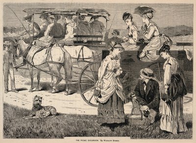 The Picnic Excursion, från Appletons