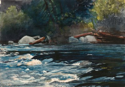 The Rapids, Hudson River, Adirondacks av Winslow Homer