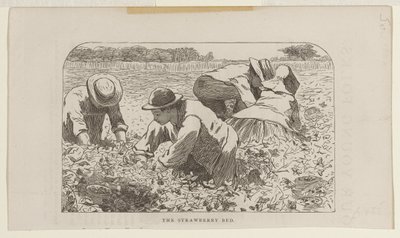 Jordgubbslandet av Winslow Homer