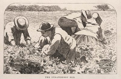 Jordgubbsbädden, 1868. av Winslow Homer