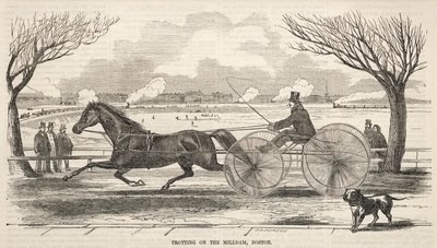 Trav på Mill Dam, Boston av Winslow Homer