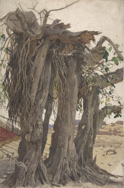 Studie av en stubbe med luftrötter, mitten av 1800-talet - början av 1900-talet. av Woldemar Friedrich