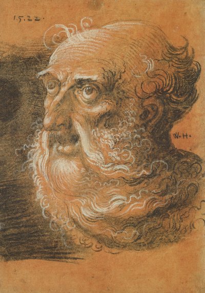 Head Study, 1522 (kol och vit krita på papper) av Wolf Huber