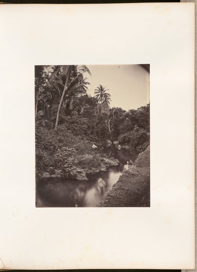 [Floden vid Kupang] av Woodbury and Page